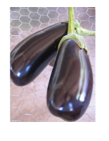 RECEITAS COM BERINGELA.pdf